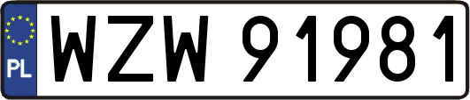 WZW91981