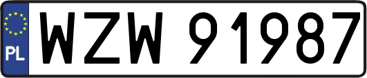 WZW91987