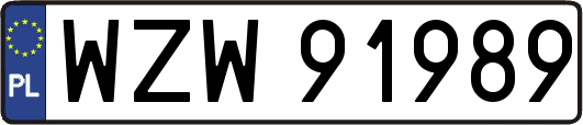 WZW91989