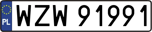 WZW91991