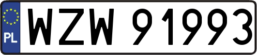 WZW91993