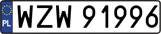 WZW91996