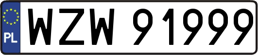 WZW91999