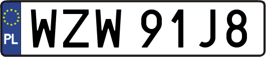 WZW91J8