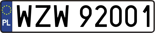 WZW92001