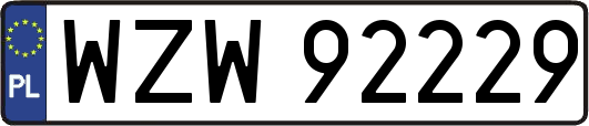 WZW92229