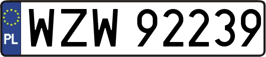 WZW92239