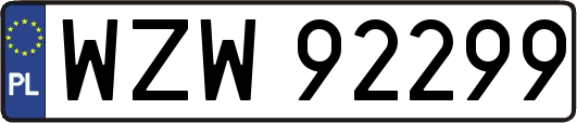 WZW92299