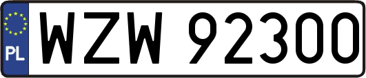 WZW92300