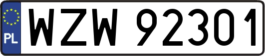 WZW92301