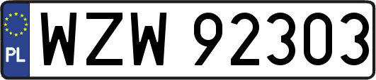 WZW92303