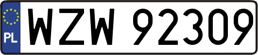 WZW92309