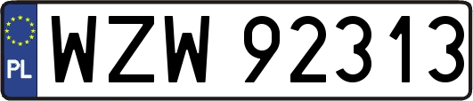 WZW92313