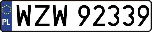 WZW92339