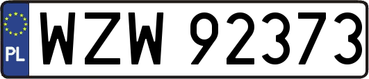 WZW92373