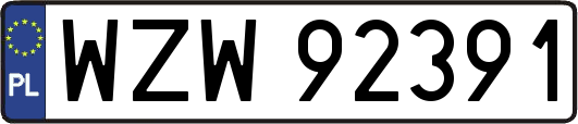 WZW92391
