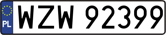 WZW92399