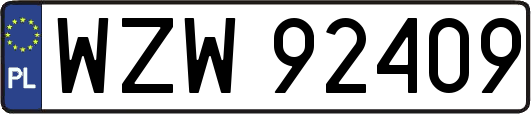 WZW92409