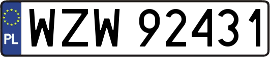 WZW92431