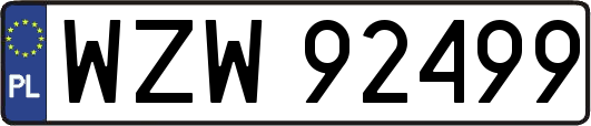 WZW92499