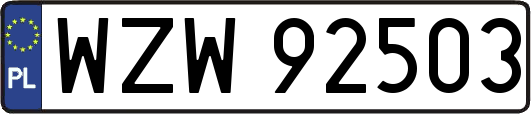 WZW92503