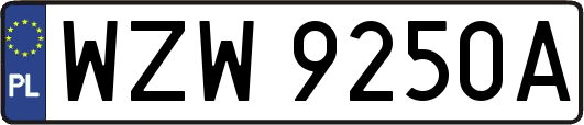 WZW9250A