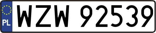 WZW92539