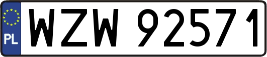 WZW92571