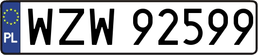 WZW92599