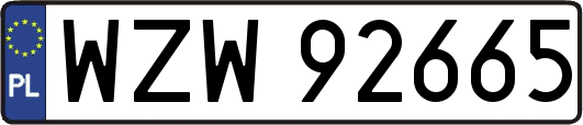 WZW92665