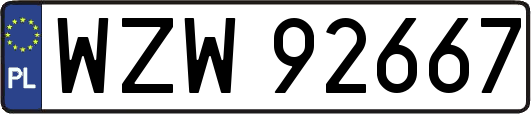 WZW92667