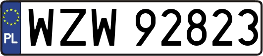 WZW92823