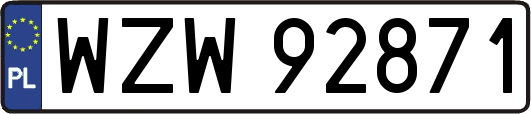 WZW92871
