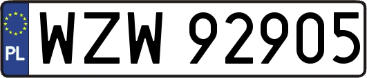 WZW92905