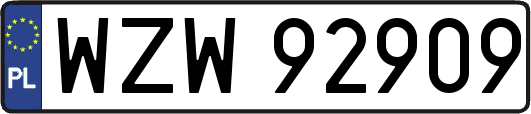 WZW92909
