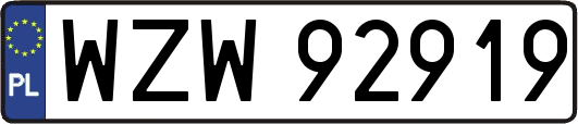WZW92919
