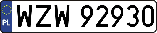 WZW92930