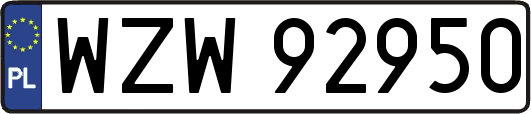 WZW92950