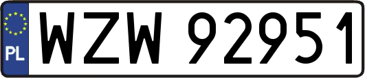 WZW92951