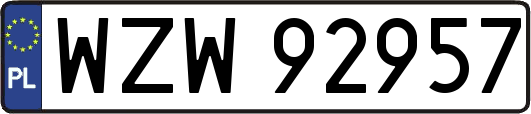 WZW92957