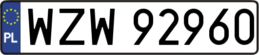 WZW92960