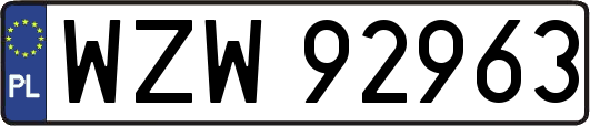 WZW92963