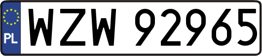 WZW92965