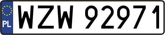 WZW92971