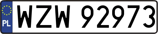 WZW92973