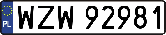 WZW92981