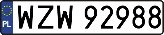 WZW92988