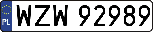 WZW92989