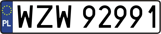 WZW92991