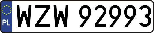 WZW92993